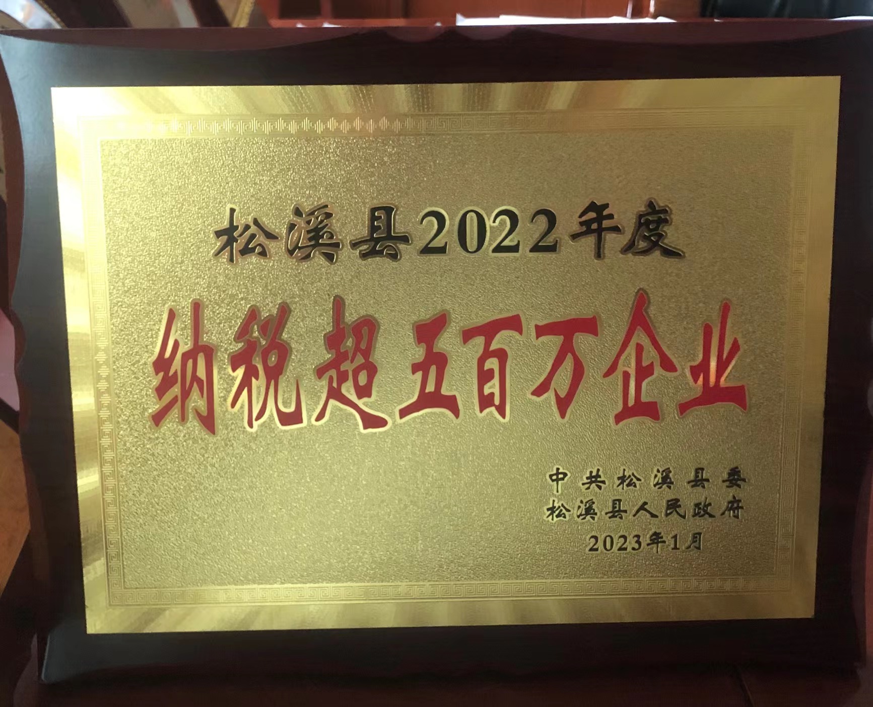 喜報(bào)！易順建工集團(tuán)喜獲“松溪縣2022年度納稅超五百萬企業(yè)”榮譽(yù)