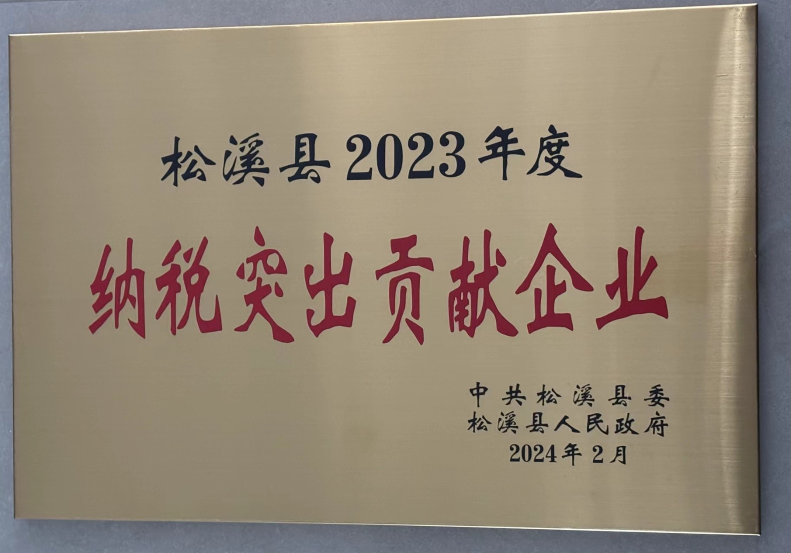 喜報！易順建工集團榮獲“松溪縣2023年度納稅突出貢獻企業(yè)”稱號